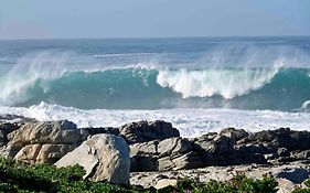 Whales & Waves